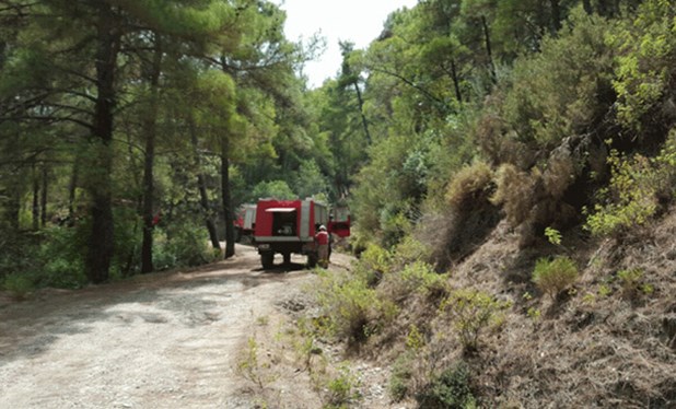 ΔΑΣΟΠΡΟΣΤΑΣΙΑ