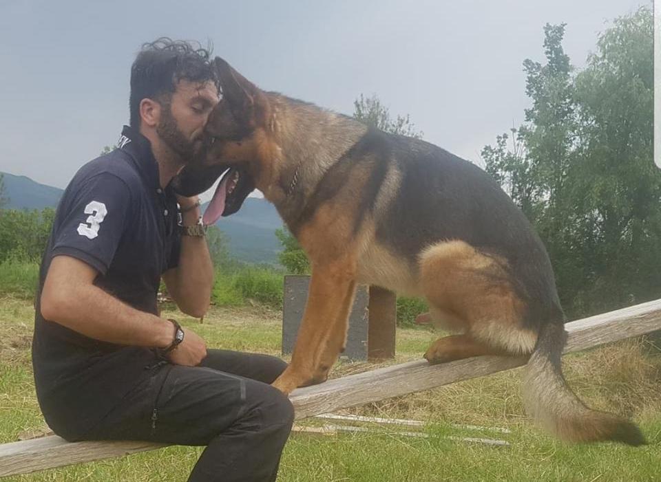 Αποτέλεσμα εικόνας για Οργή στην Ιταλία: Δηλητηρίασαν σκύλο- ήρωα, που είχε σώσει ανθρώπους στον φονικό σεισμό του Αματρίτσε