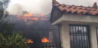 Προσαγωγή υπόπτου για τη φωτιά στην Κινέτα (video)