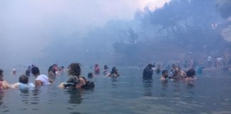 Μάτι : Η συγκινητική ιστορία της γυναίκας που κρατάει αγκαλιά τον σκύλο της