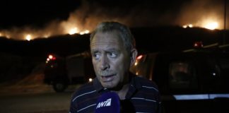 Πέτρος Φιλίππου: Θα αποζημιωθούν οι ιδιοκτήτες αν κριθεί η περιοχή αναδασωτέα