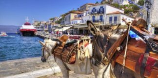 Τι προβλέπει ο νόμος για τα άλογα και τα γαϊδούρια εργασίας