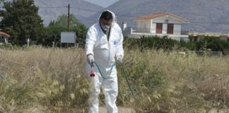 Έντεκα κρούσματα από τον ιό του Δυτικού Νείλου στην Κεντρική Μακεδονία