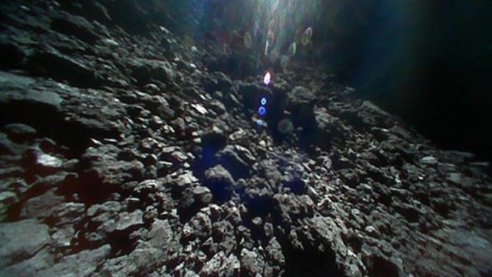 asteroeidis