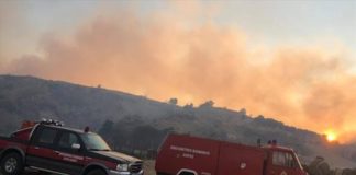 Σάμος: Συνεχείς αναζωπυρώσεις στην πυρκαγιά