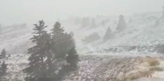 Ισχυρή χιονοθύελλα σήμερα το πρωί στον Παρνασσό (video)