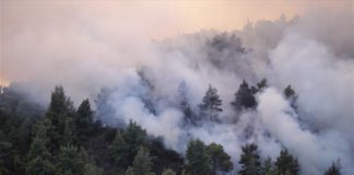Χαλκιδική: Συνεχίζει το καταστροφικό έργο της η πυρκαγιά στη Σιθωνία