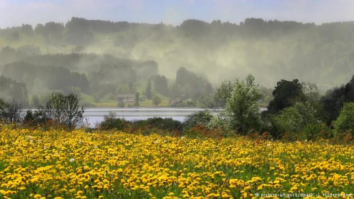 γυρη-λουλουδια