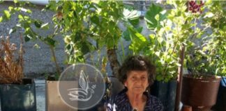Δικάστηκαν τα εγγόνια για τη δολοφονία της γιαγιάς τους