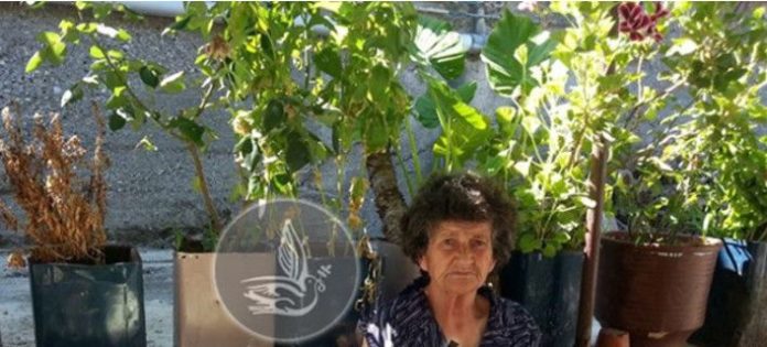 giagia
