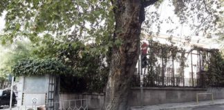 Θεσσαλονίκη: Απεργία πείνας Κυπρίων φοιτητών απέναντι από το τουρκικό προξενείο