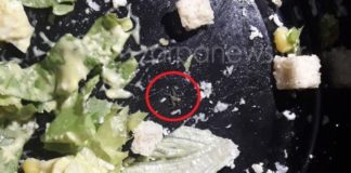 Σέρβιραν σαλάτα με αράχνη σε σουβλατζίδικο