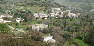 Φρίκη στην Κάρυστο: Άγρια ζώα κατασπάραξαν ηλικιωμένη