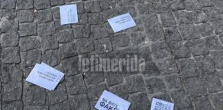 Εισβολή Vegan στη Βαρβάκειο για την Τσικνοπέμπτη -«Να φάτε φακές»