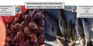 Έμεινε με την… όρεξη των 470 αχινών