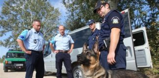 Αστυνομικός σκύλος «μπλόκαρε» ναρκωτικά