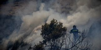 Φωτιά στην Εύβοια: Καλύτερη η εικόνα – Διάσπαρτες μικροεστίες
