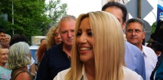 Γεννηματά: Συνεχίζουμε αυτόνομη πορεία