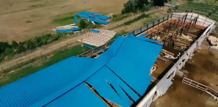 ζημιες