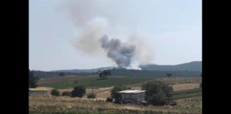 Μεγάλη φωτιά στην Εύβοια – Εκκενώθηκε το Μακρυχώρι (βίντεο)