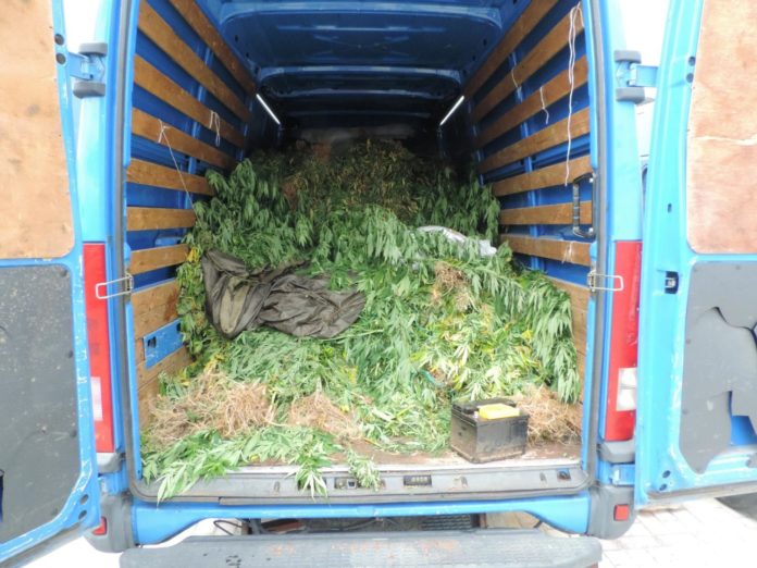 χασις-καριτσα