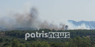 Αρχ. Ολυμπία: Μάχη με τις φλόγες στον Ξηρόκαμπο