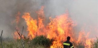 Υπό έλεγχο η πυρκαγιά στη Μάνδρα
