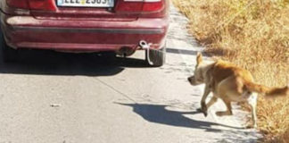 Συνελήφθη 73χρονος που έσερνε σκύλο δεμένο σε αυτοκίνητο