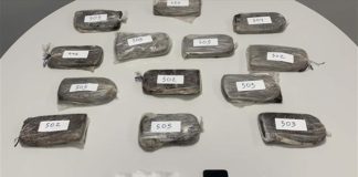 Συνελήφθη 23χρονος που μετέφερε 6,5 κιλά ηρωίνη
