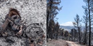 Εύβοια: Εντόπισαν στουπιά, μπιτόνια, εύφλεκτο υγρό και γκαζάκια