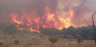 Μαίνεται η πυρκαγιά στη Ζάκυνθο – Ενισχύονται οι δυνάμεις πυρόσβεσης