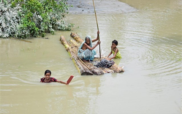 india-plimmures