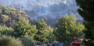 Ενισχύονται οι δυνάμεις πυρόσβεσης στη Νέα Μάκρη