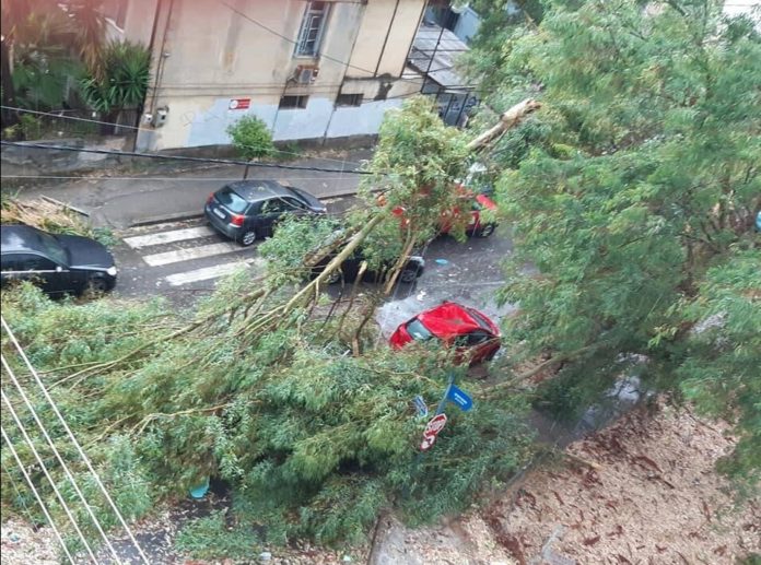 καλαματα