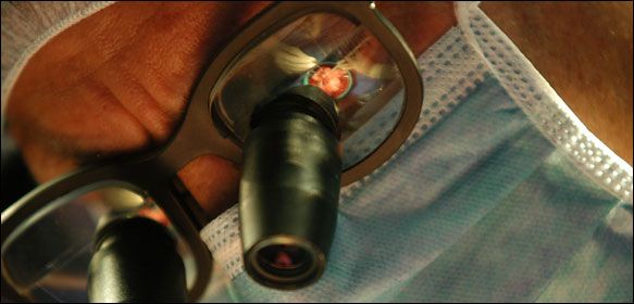 κρυοσυντηρηση