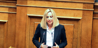 Φώφη Γεννηματά: Οι προκλήσεις της Τουρκίας δεν έχουν όριο