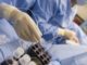 Συναγερμός για το βακτήριο Vibrio– Οι κίνδυνοι και τα συμπτώματα