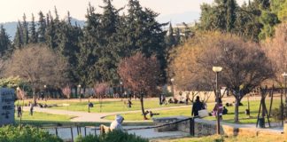 Βόλτες και πικ νικ 10 και πλέον ατόμων