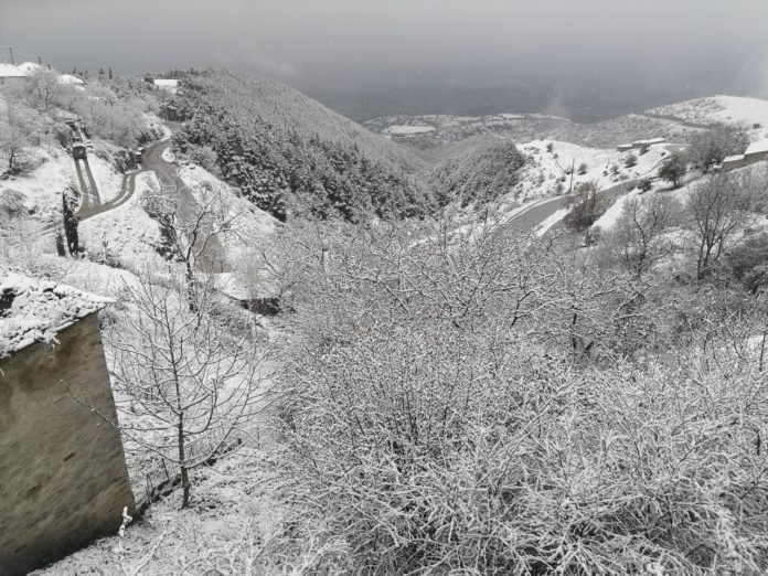 larisa-xioni