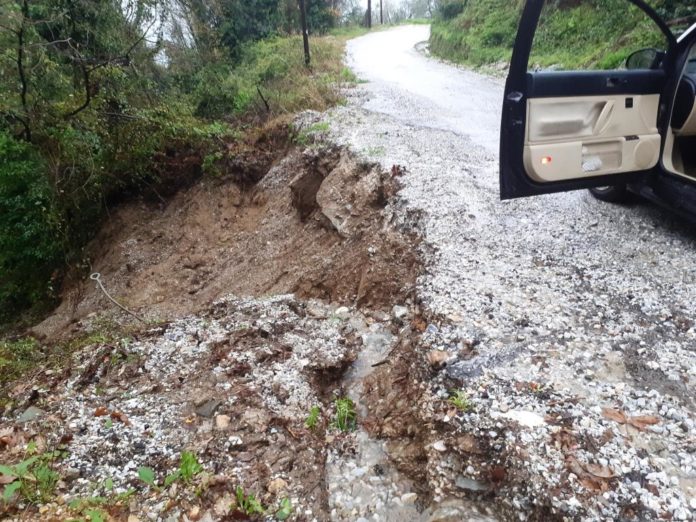 zag ZIMIES3