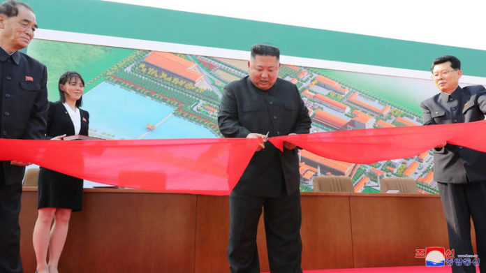 kim