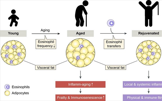 antistrofi-problimaton-ugeias-pou-prokuptoun-logo-giransis