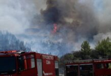 Φωτιά στη Σκύρο: Σηκώθηκαν 6 αεροσκάφη και 4 ελικόπτερα