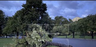 Κέρκυρα: Σάρωσε η κακοκαιρία, ξεριζωμένα δέντρα και ζημιές σε κτίρια