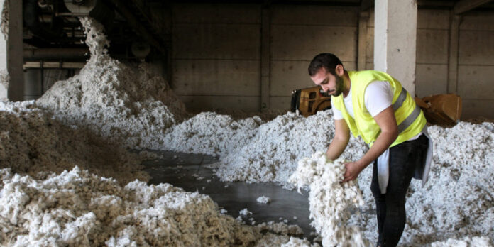 ekkokkistirio-bambakiou