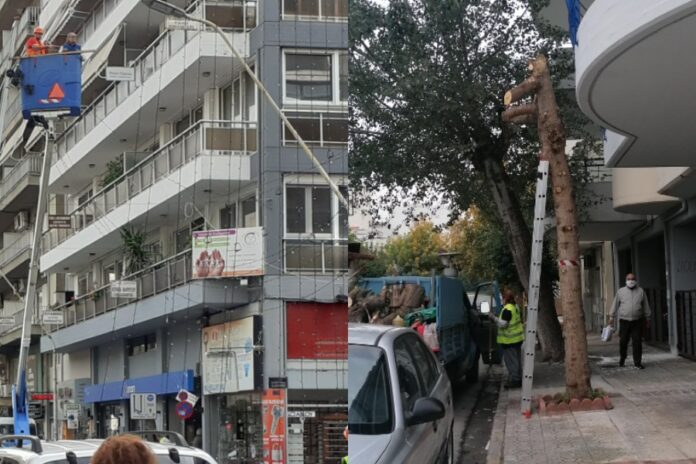δέντρα λαμπάκια