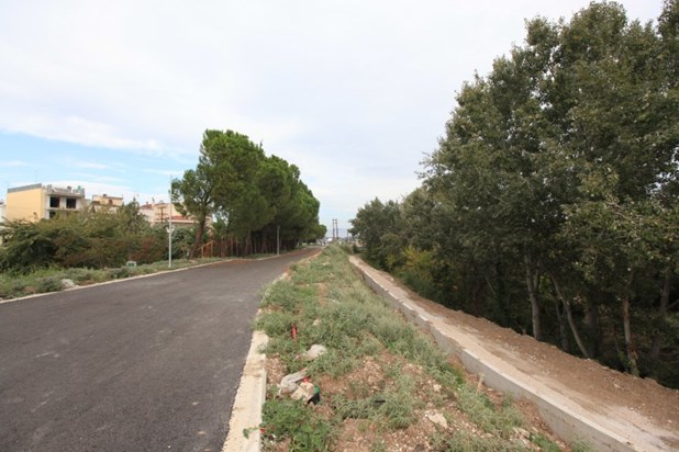 pineios