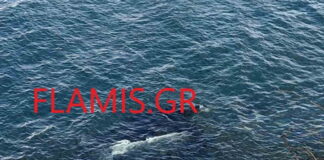 Γυναίκα οδηγός έπεσε στη θάλασσα μαζί με το αυτοκίνητο