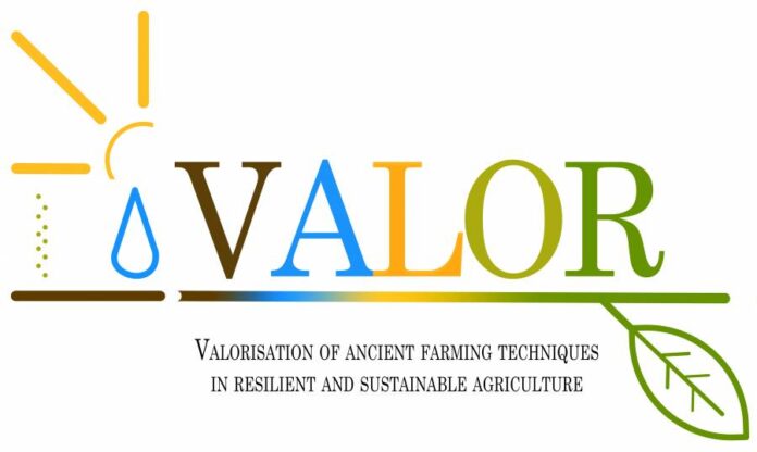 VALOR Logo_text