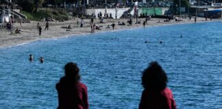 Στην αμμουδιά με τα γεννητικά του όργανα σε κοινή θέα – Έβριζε τους αστυνομικούς κατά την σύλληψη